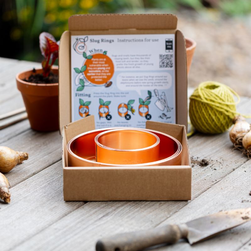 Starter pack (3 large, 3 small)